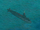 Attack Submarine