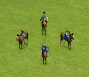Light Cavalry*
