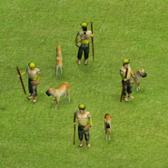 Scout