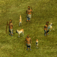 Scout
