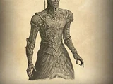 Djinni Robot