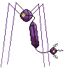 014-Venophage.png