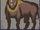 Bighorn Bison