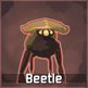 Beetle