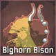 BighornBison
