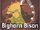 Bighorn Bison (Risk of Rain 2)