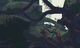 Wetland Aspect