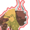 Bighorn Bison