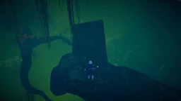 Wetland Aspect Near the Altar to N'Kuhana