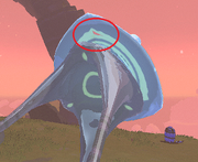 Vagrant's Front mark