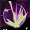 Seed Barrage