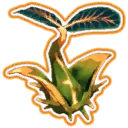 Seed of Life (Consumed)