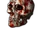 Imbrued Skull