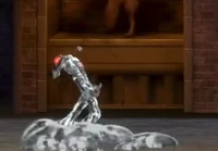 A Kunekune in Classic Mode.