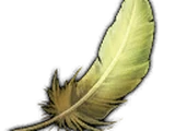 Flight Feather