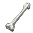 Melting Bone - Ritual of the Night - 01