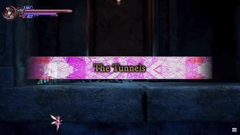 The tunnels entrance screen