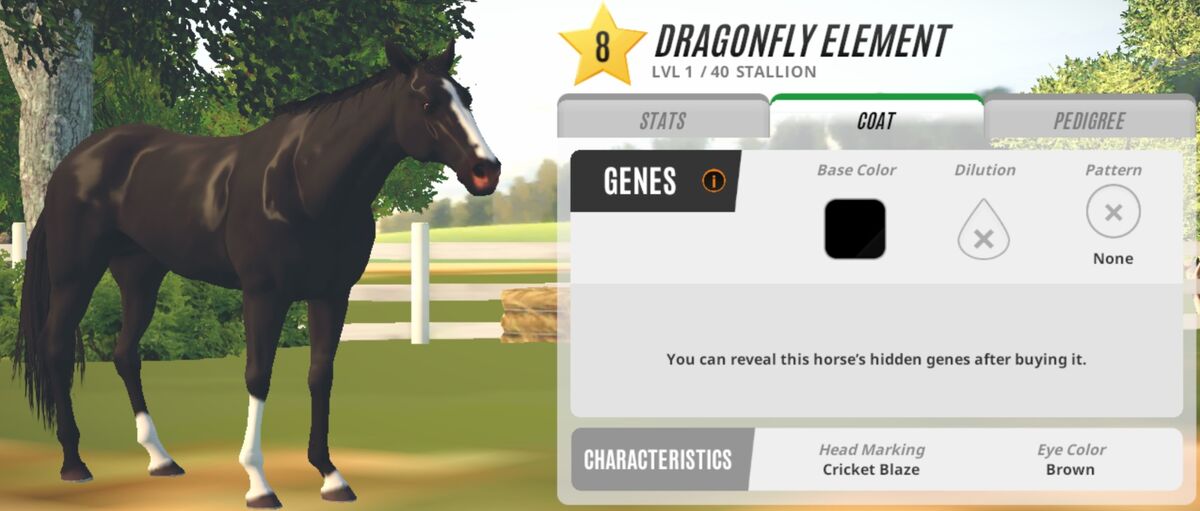 Horse racing coat hot sale
