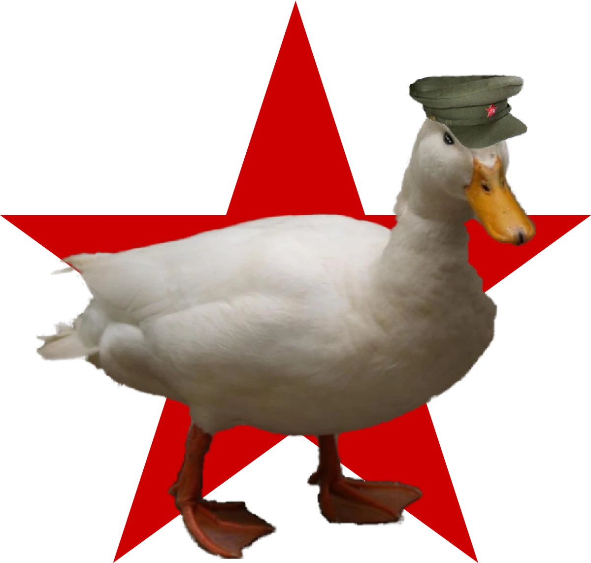 Lepton Rival Regions DE Wiki Fandom