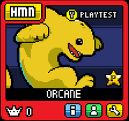 Orcane Golden