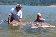 Jeremy holding the giant White Sturgeon he caught on the Columbia River in Oregon.