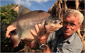 River Monsters Season 3 River Monsters Wiki Fandom