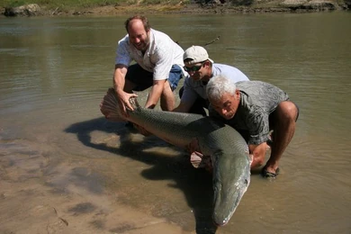 Category:United States | River Monsters Wiki | Fandom