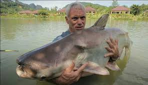 giant catfish river monsters