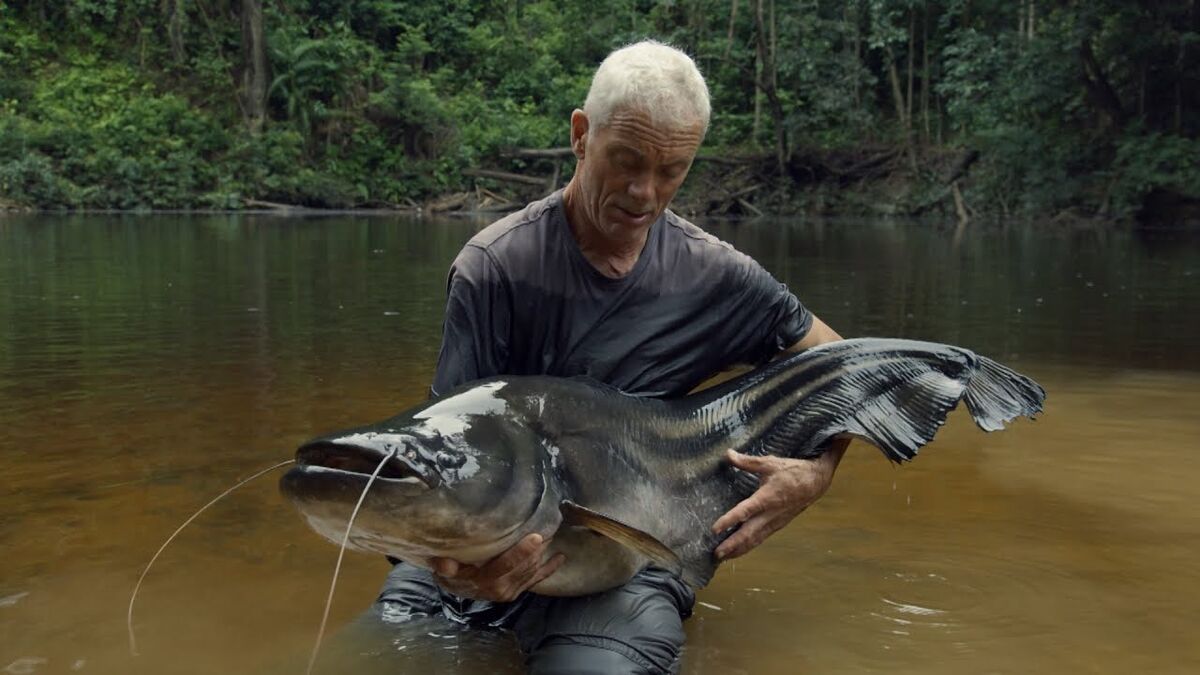 Sareng Catfish, River Monsters Wiki