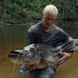 Category:Fish, River Monsters Wiki