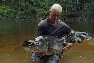 Goonch Catfish, River Monsters Wiki