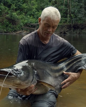 Sareng Catfish River Monsters Wiki Fandom