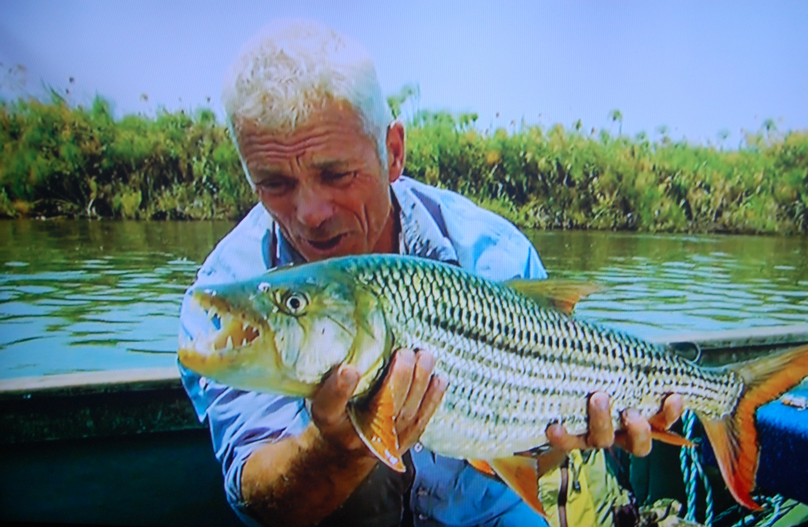 Catching a Strange River Monster While Chasing After Big Fish