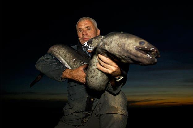 giant freshwater eel