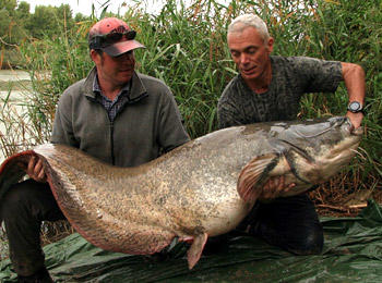 Jeremy Wade (aka River Monsters host) first 'trial' catch in