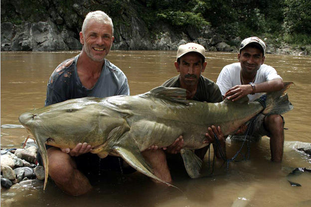 red tailed catfish river monsters