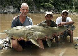 River Monsters: Cuiu-Cuiu Catfish by Alexh4070 on DeviantArt