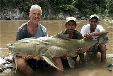 Goonch Catfish | River Monsters Wiki | Fandom