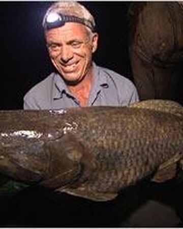 Wolf Fish River Monsters Wiki Fandom