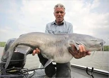 Jeremy holding a large Blue Catfish.
