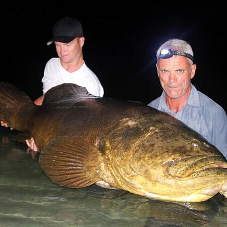 River monsters goliath grouper clearance