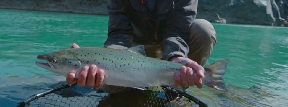 Unknown Waters With Jeremy Wade