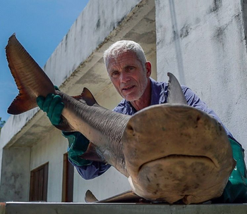Amazon River Shark | River Monsters Wiki | Fandom