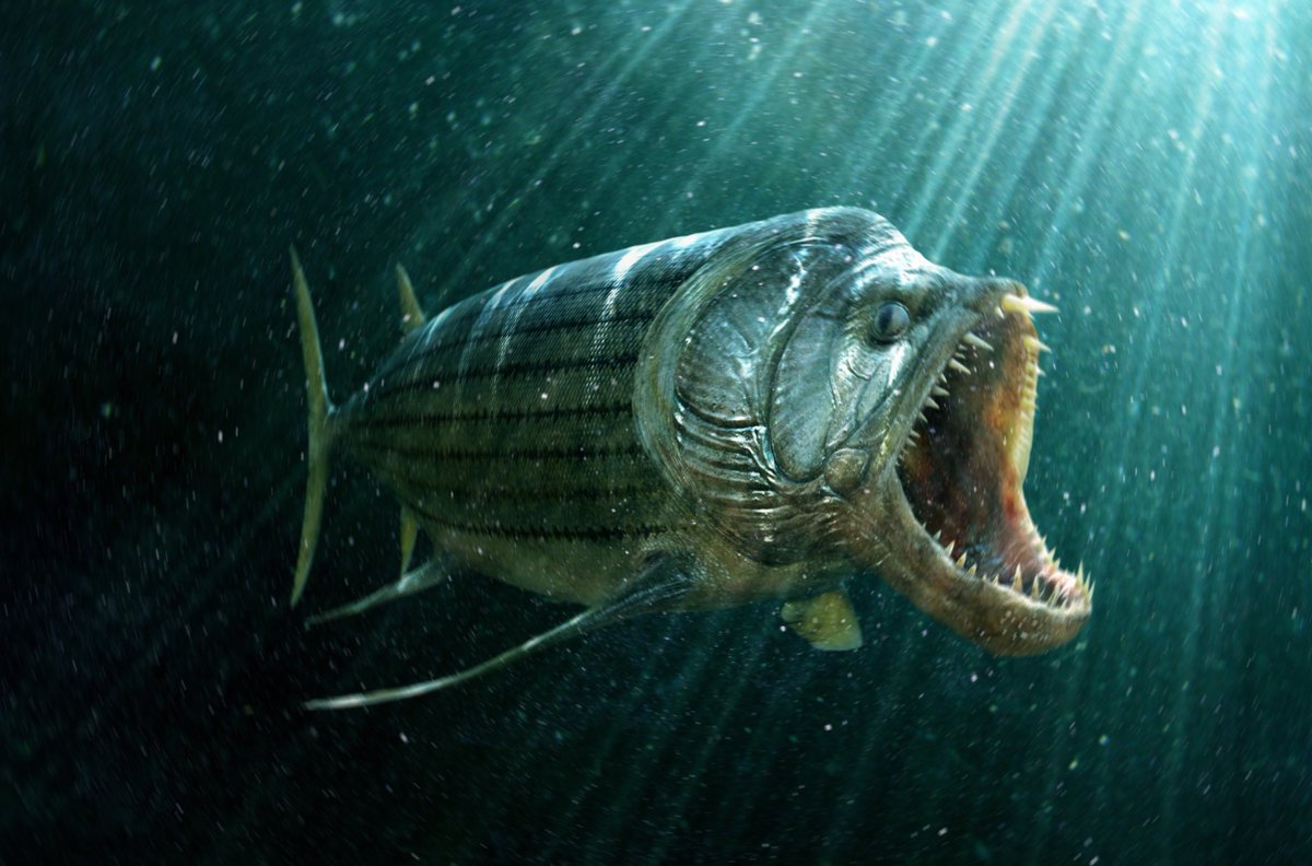 Giant Tigerfish - Encyclopedia of Life