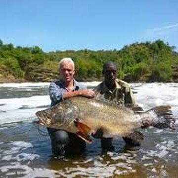 Nile Perch River Monsters Wiki Fandom Nile Perch River Monsters Wiki Fandom