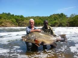 nile perch jeremy wade