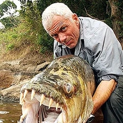 river monsters goliath tiger fish
