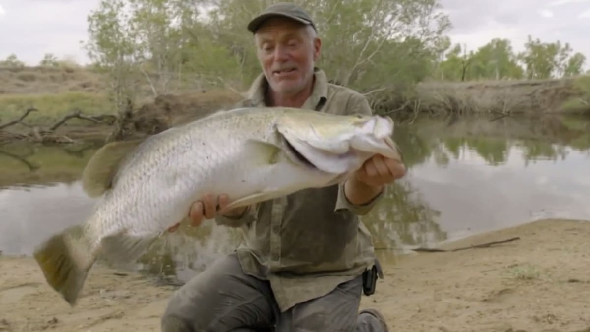 Goonch Catfish, River Monsters Wiki