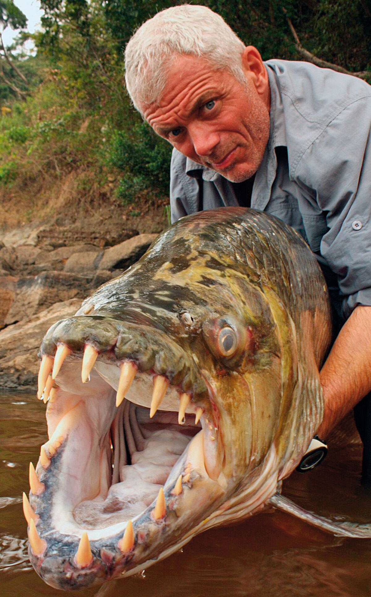 solomon fish river monsters