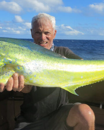 Mahi Mahi Dorado River Monsters Wiki Fandom